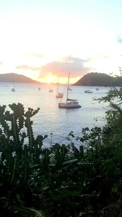 Catamaran Cypraea Hotel Terre-De-Haut