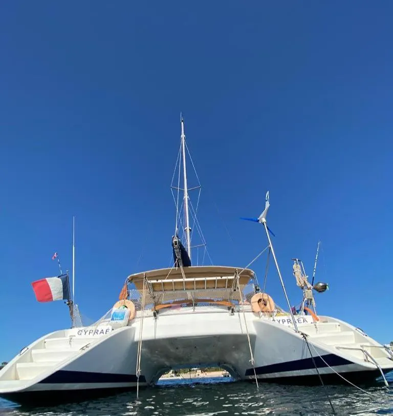 Botel Catamaran Cypraea Hotel Terre-De-Haut